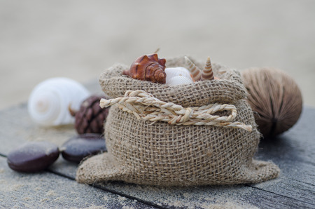 Vacation memories from the sea. Shells on wood background for postcard or Posterの写真素材