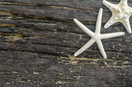 Top view of  Starfishs and White Stone onWooden backgroundの写真素材