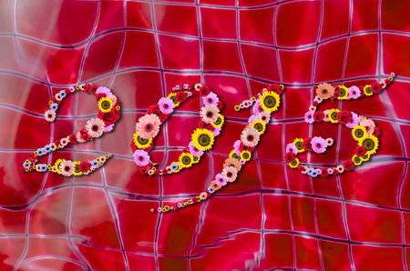 2015 Flowers on festive on Sun reflections in pool water Background