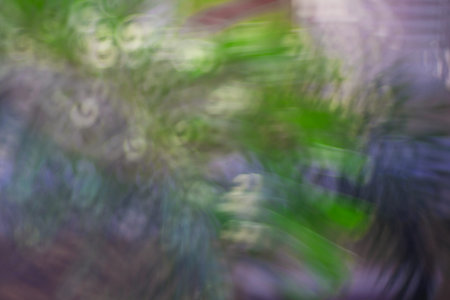 A stock photo of an Abstract circular bokeh  ready for your designの写真素材