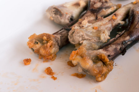 Eaten fried chicken bone on white plate