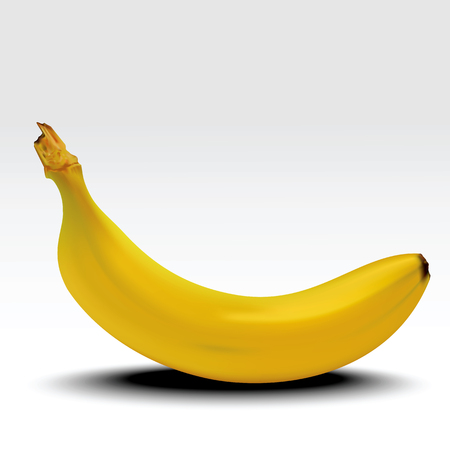 Banana. Ripe banana with shadow isolated on white background. Realistic vector illustrationのイラスト素材