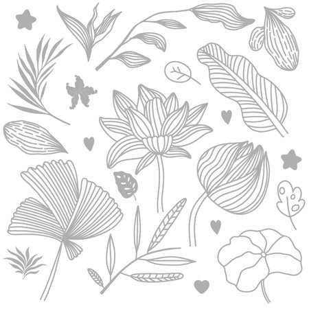 set of floral graphic elements. Illustrations of hand drawn plants and flowersのイラスト素材