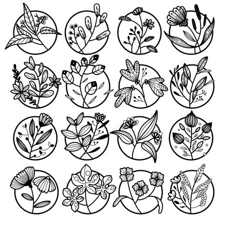 set of floral graphic elements. Illustrations of hand drawn plants and flowersのイラスト素材