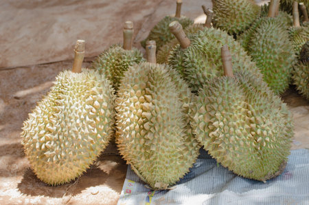 durian