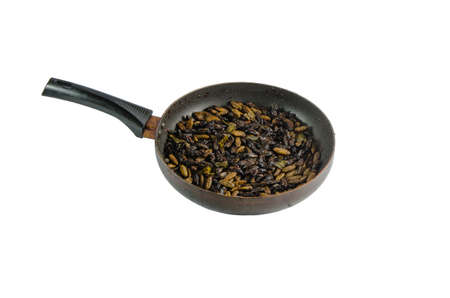 Insect friedの写真素材