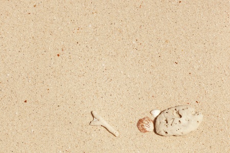 sea shell and white stone on sand backgroundの写真素材