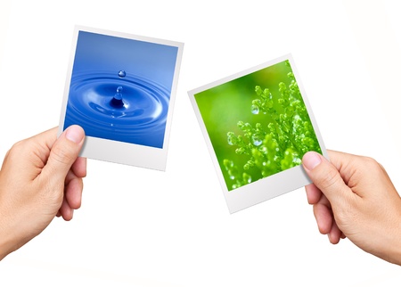 Environment Concept, Hands holding nature photos water and plantの写真素材