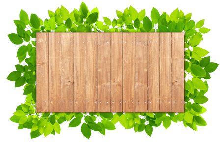 Plank Wood Background with green leaves frameの写真素材