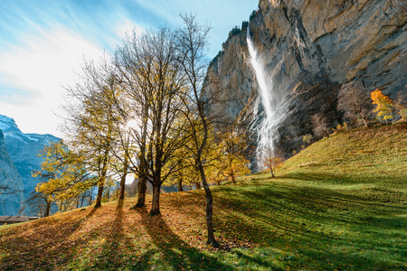 Beautiful autumn time at village of Lauterbrunnen in Swiss alps, gateway to famous Jungfrau. SSun shine through a big tree with leafs on the ground near Staubbach Falls. の写真素材