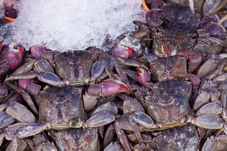 fresh crab in marketの写真素材