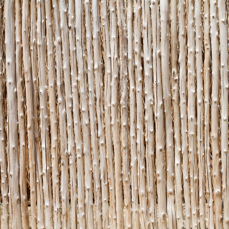 wood log and cut bamboo surface background