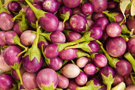 purple eggplant backgroundの写真素材