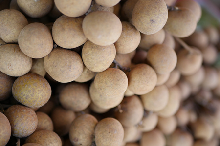 longan, closeup shotの写真素材