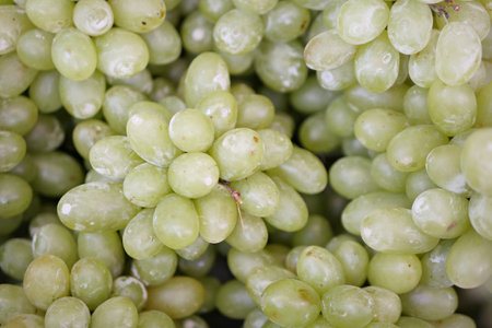green grape, closeup shot