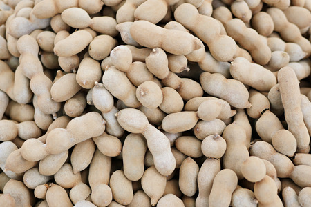 tamarind textured backgroundの写真素材