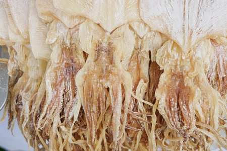 dry squidの写真素材