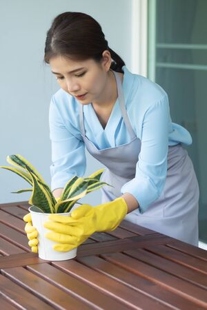 woman gardener tending small urban garden with tree potの写真素材