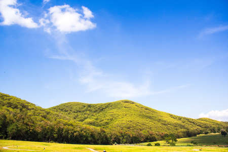 green mountain and blue skyの写真素材