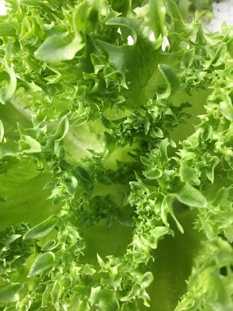 Green vegetable