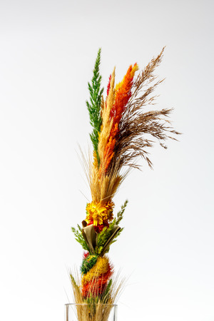 bouquet of spring flowers isolated on white backgroundの写真素材