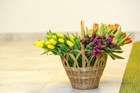 spring tulips in wooden basket, happy mothers day, romantic still life, fresh flowersの写真素材