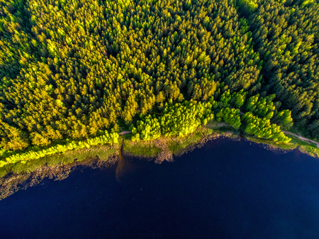 Coastline view from the drone, green forest on the coastの写真素材