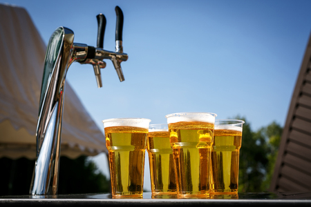 A row of plastic beer glasses with a lager beer on outdoor partyの写真素材