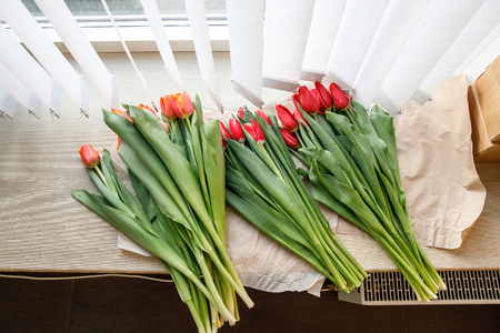 Colorful fresh tulip flowers on the windowsill near the blinds. Flowers for mother's day or women's dayの写真素材
