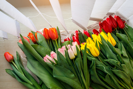 Colorful fresh tulip flowers on the windowsill near the blinds. Flowers for mother's day or women's dayの写真素材