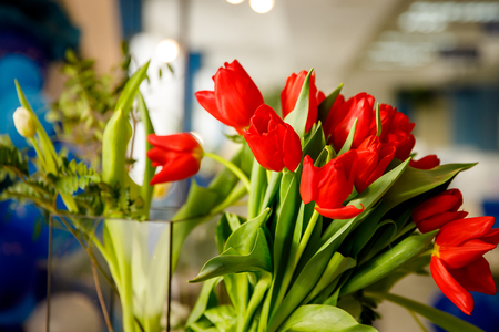 Bouquet of red spring tulips in officeの写真素材
