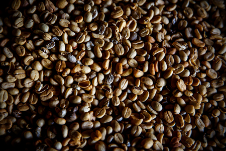 Luwak coffee beans. Top view. The legendary coffee from Bali, Indonesiaの写真素材