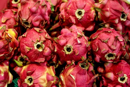 Row of dragon fruits at the market. Asian pitayaの写真素材