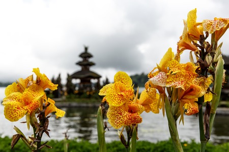 Balinese temple on the lake, flowers aroundの写真素材