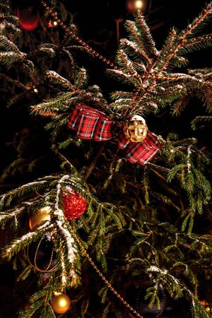 Real Christmas tree with decorations, winter holiday conceptの写真素材