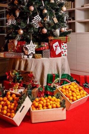 Tangerines under the christmas tree. Holiday conceptの写真素材