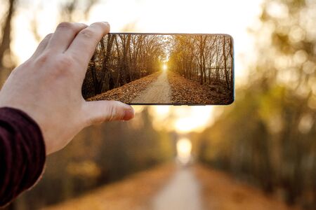 Using a mobile phone. Takes a photo of an autumn alleyの写真素材