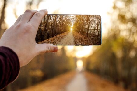 Using a mobile phone. Takes a photo of an autumn alleyの素材 [FY310132751632]