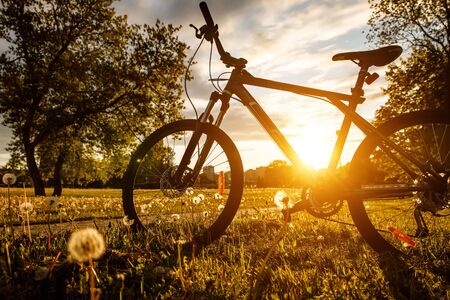 Sports bike in the field at sunsetの写真素材