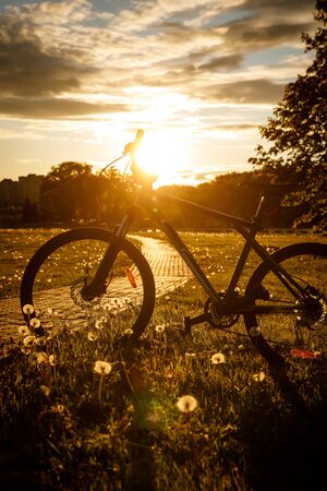 Sports bike in the field at sunsetの写真素材