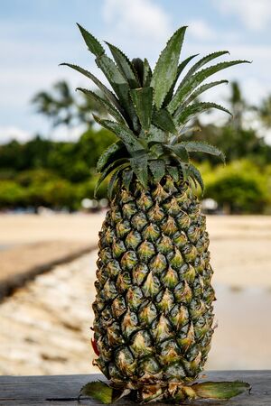 Pineapple on a beach backgroundの写真素材