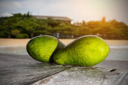 Avocado on an exotic beach backgroundの写真素材