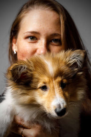 Portrait of happy girl with sheltie puppyの写真素材