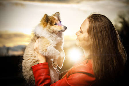 Happy girl with sheltie puppy in the parkの写真素材