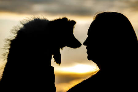Woman and dog silhouettes on sunset cloudsの写真素材
