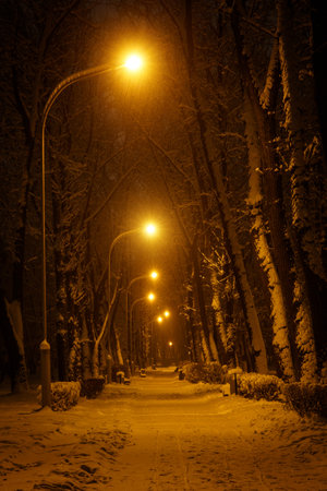 Winter park in the evening covered with snow with a row of lampsの写真素材