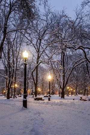 Winter park in the evening covered with snow with a row of lampsの写真素材