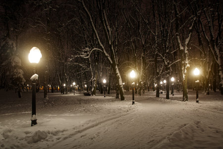 Winter park in the evening covered with snow with a row of lampsの写真素材