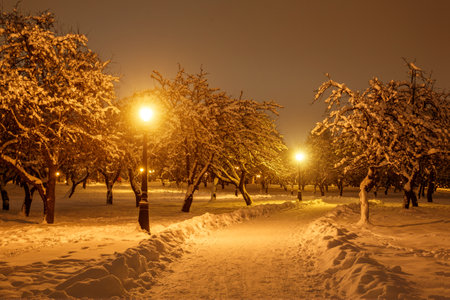 Winter park in the evening covered with snow with a included street lampsの写真素材
