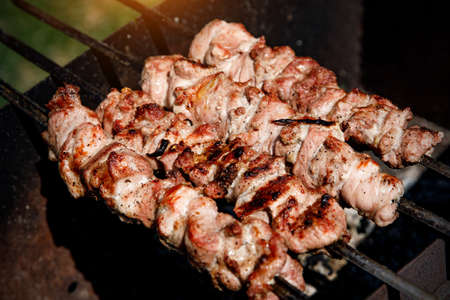 Shish kebab is fried on skewers. Summer rest.の写真素材